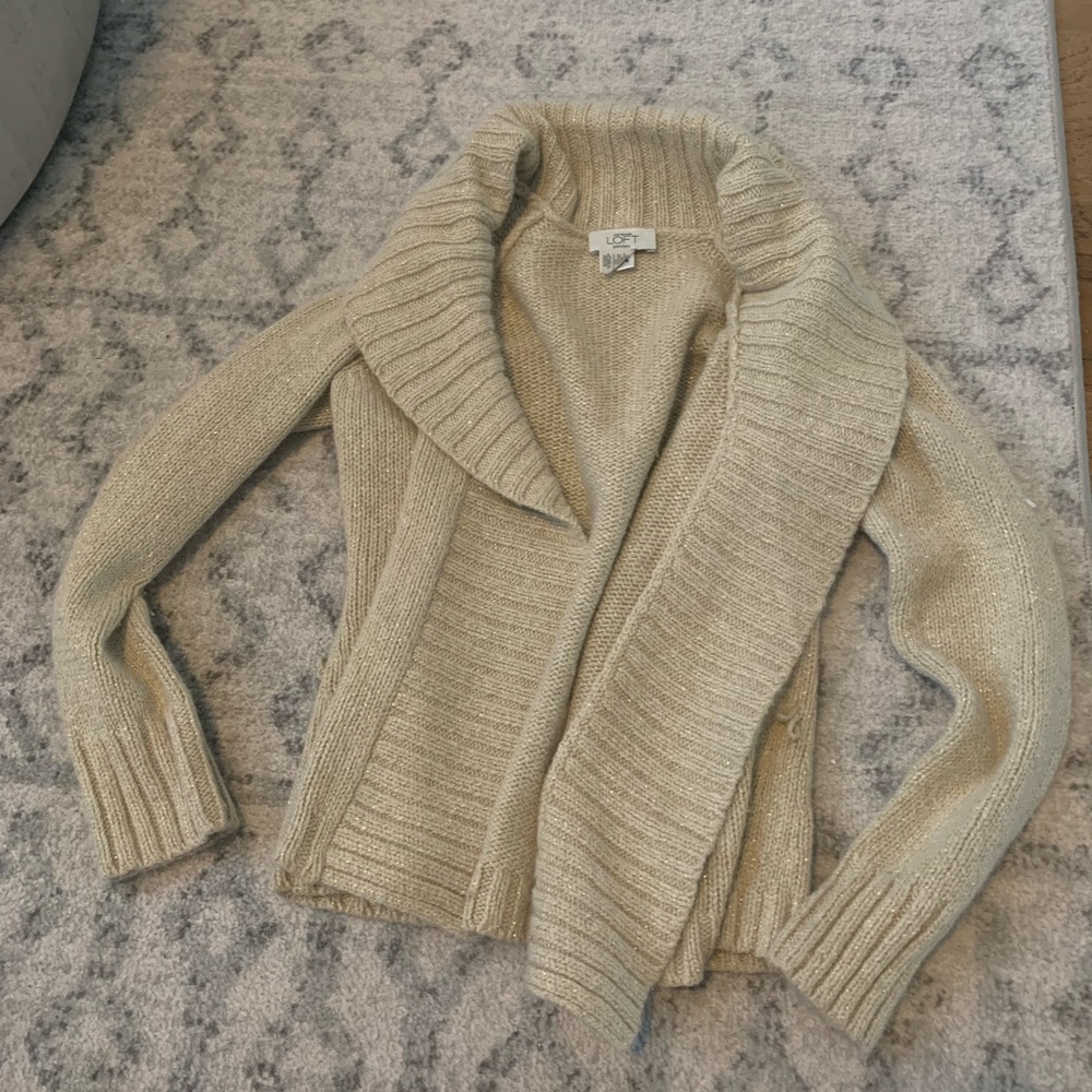 Ann Taylor Loft Sweater